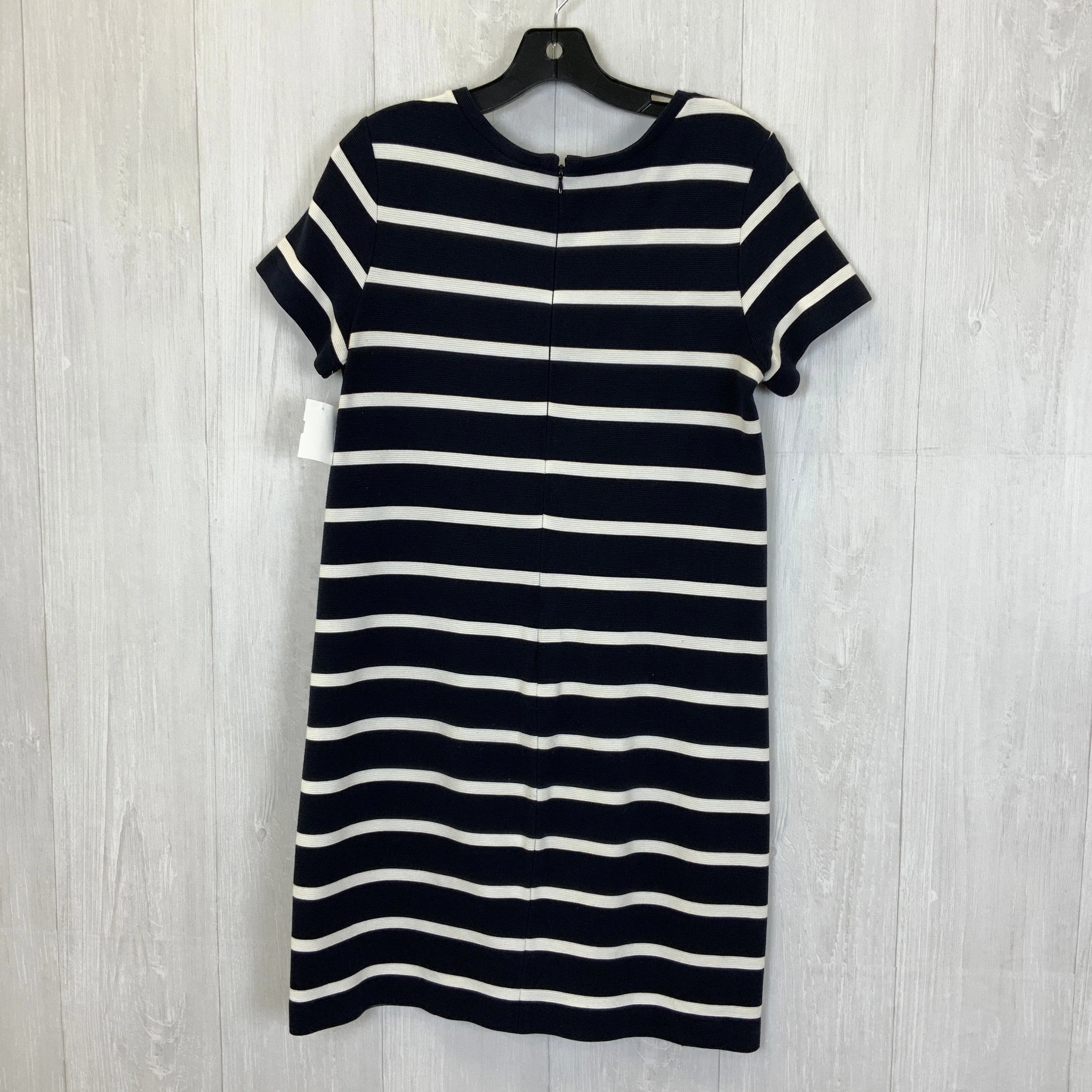 Dress Casual Short By Loft O  Size: M